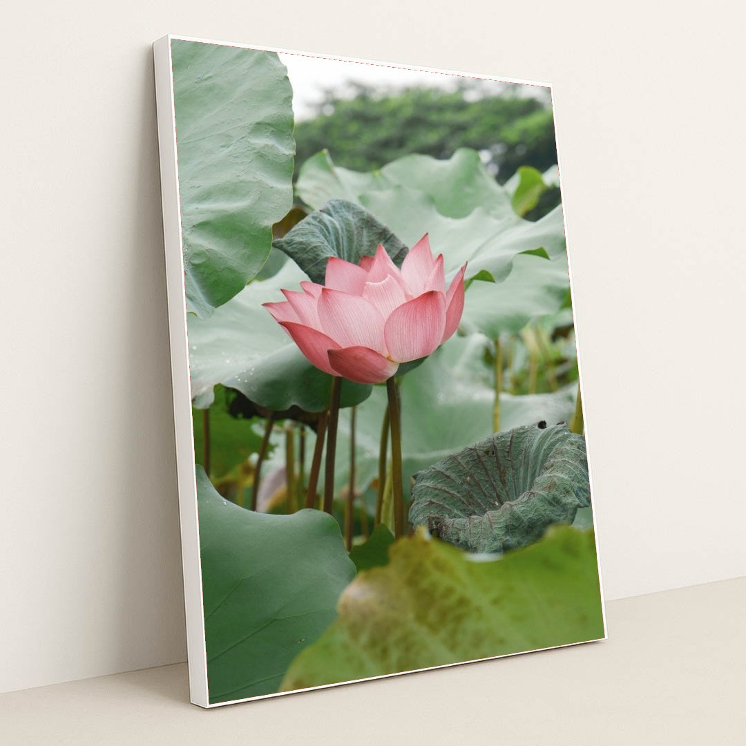 7090256511011 - Product Image