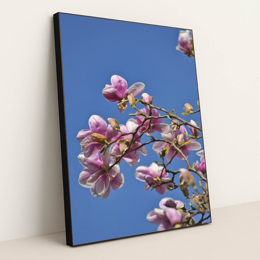 7090358255651 - Product Image