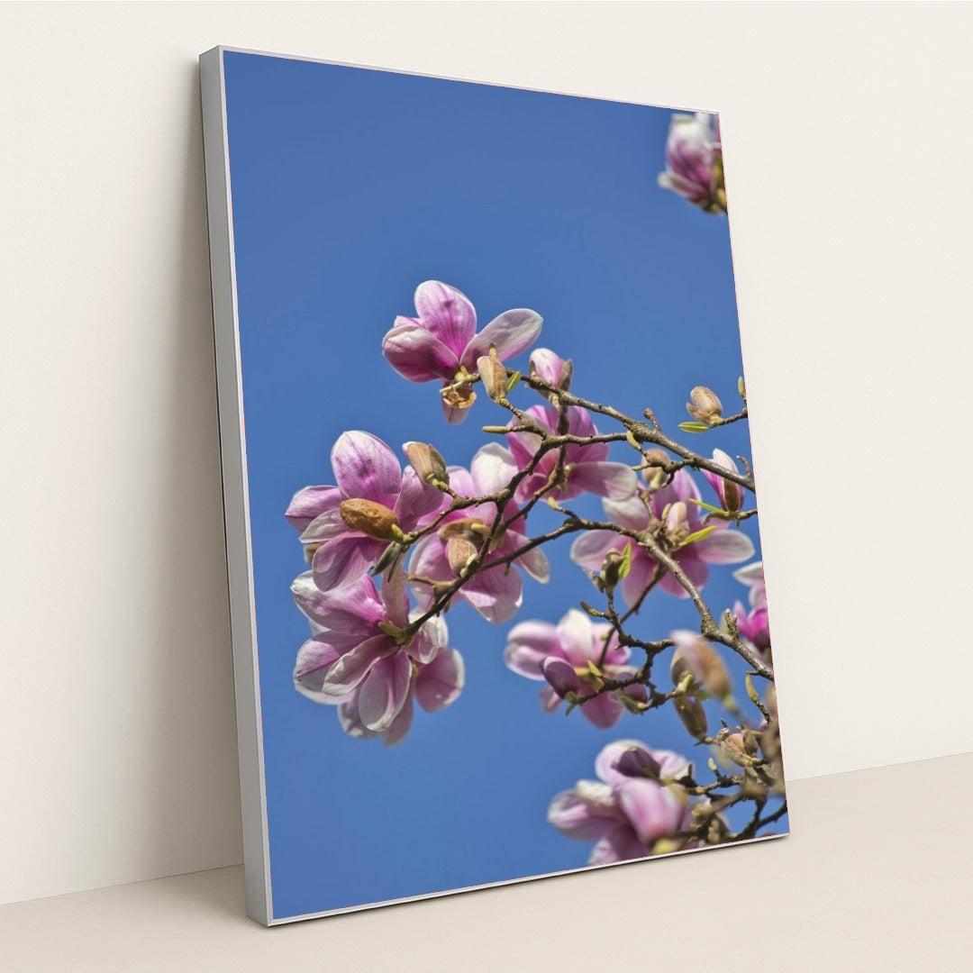 7090358255651 - Product Image