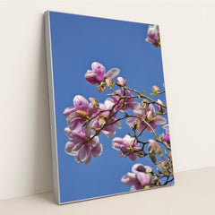 7090358255651 - Product Image