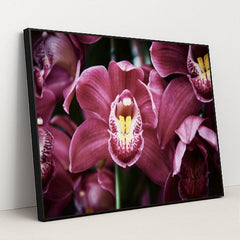 7090287575075 - Product Image