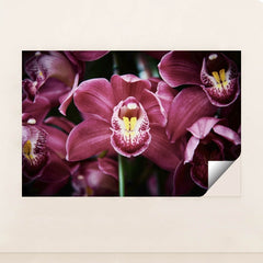 7090287575075 - Product Image