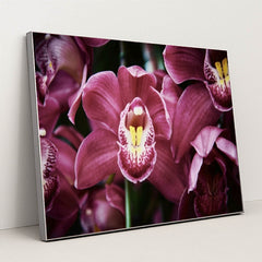 7090287575075 - Product Image