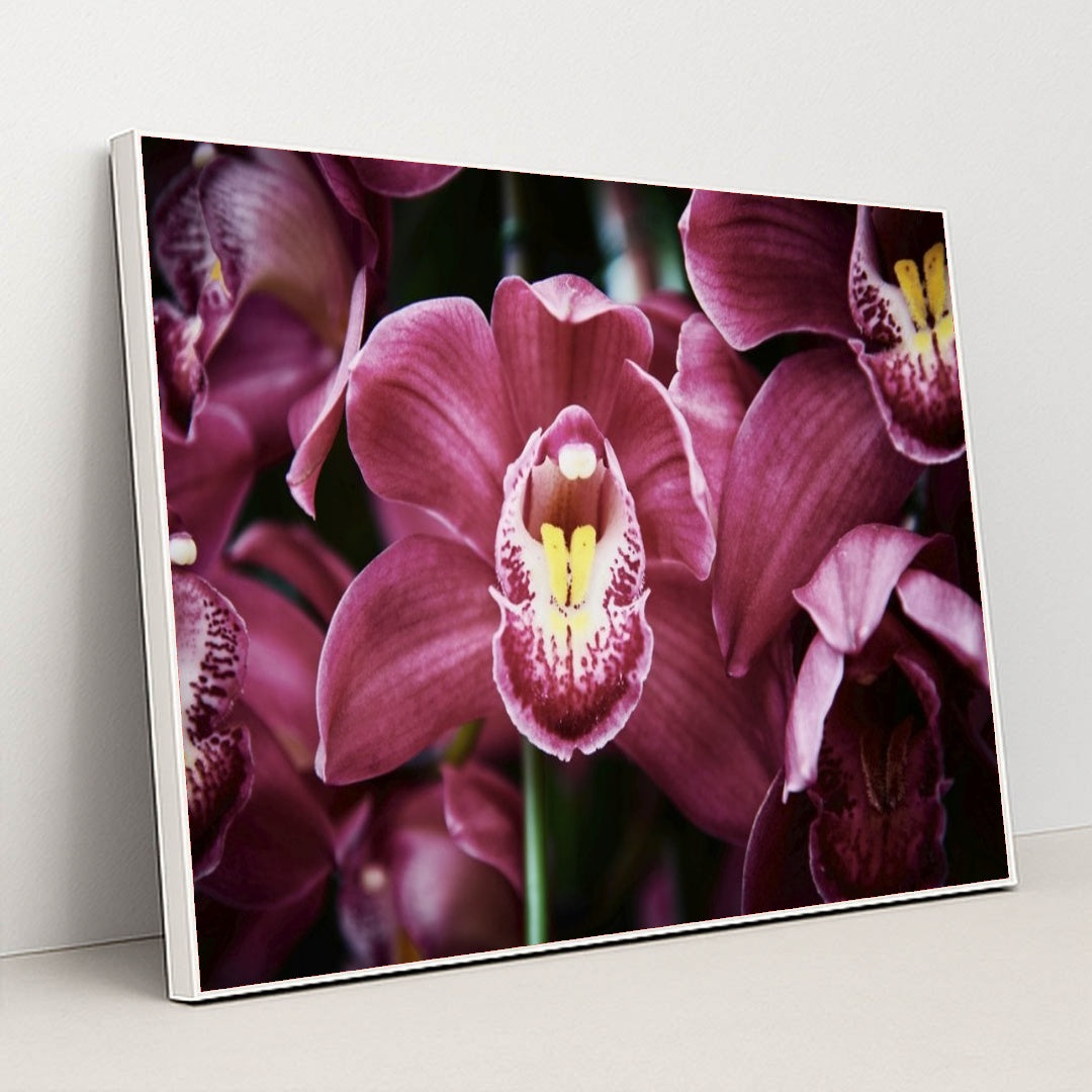 7090287575075 - Product Image