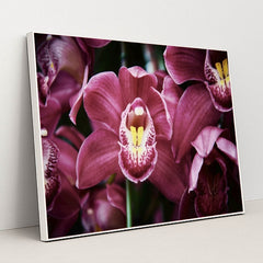 7090287575075 - Product Image