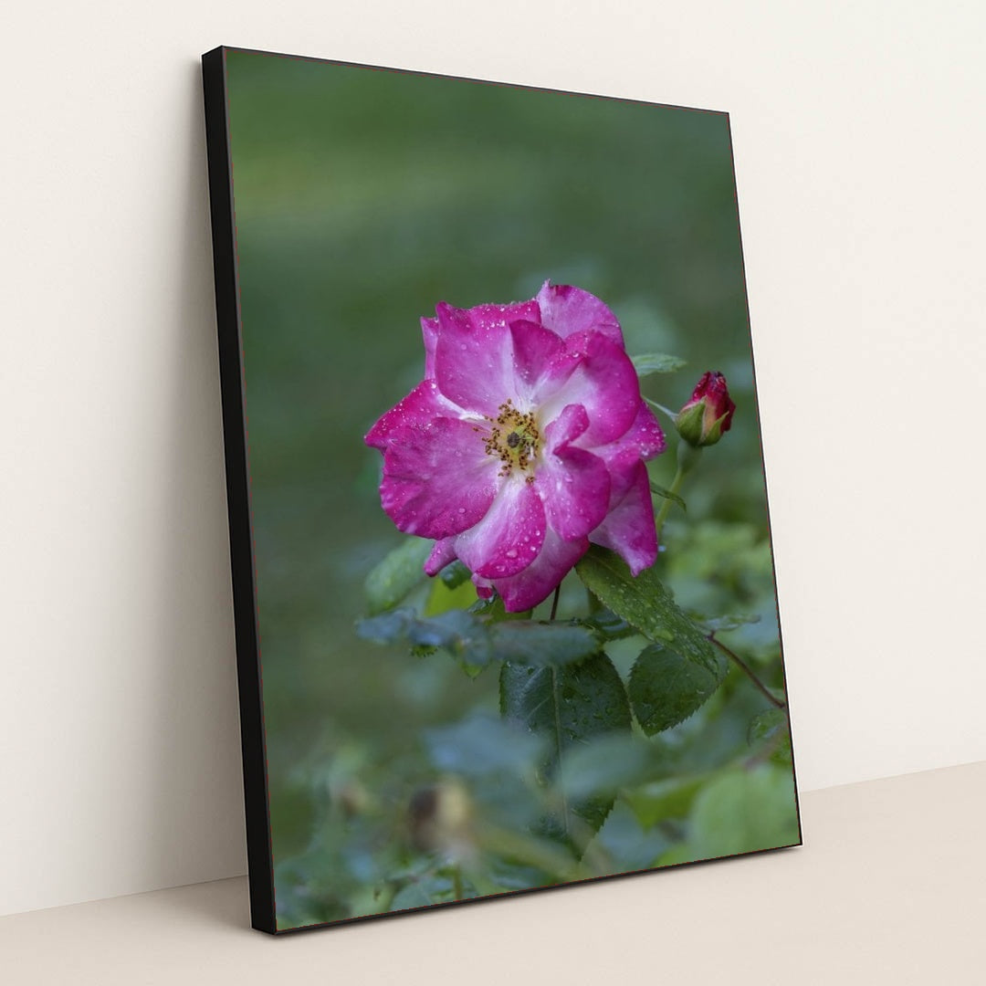 7090348294179 - Product Image