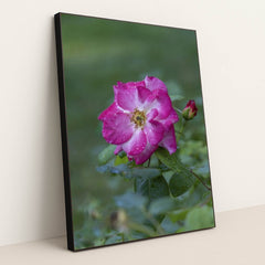 7090348294179 - Product Image