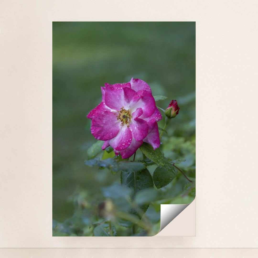 7090348294179 - Product Image