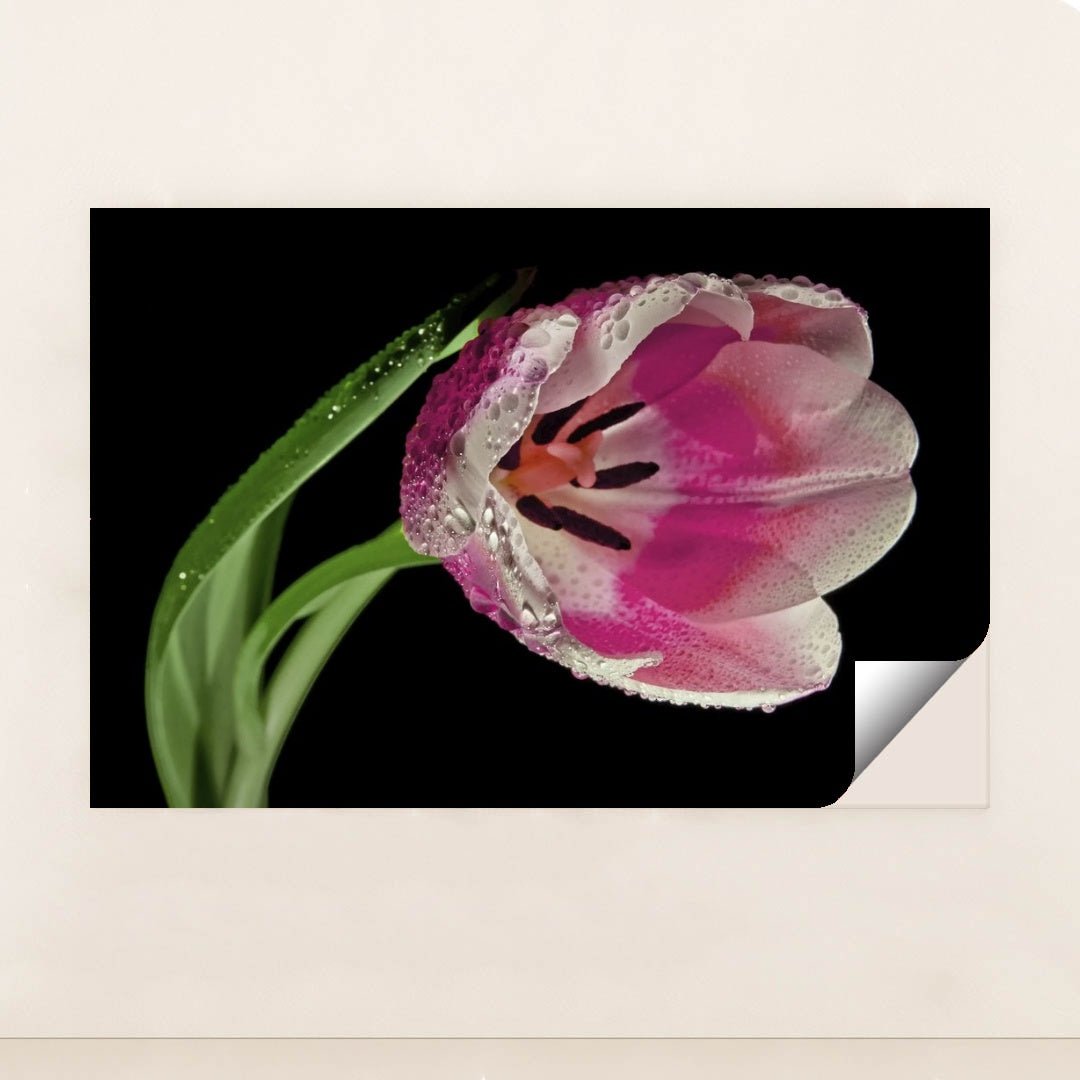 7090295242787 - Product Image