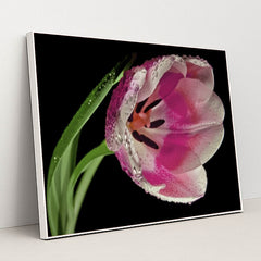 7090295242787 - Product Image