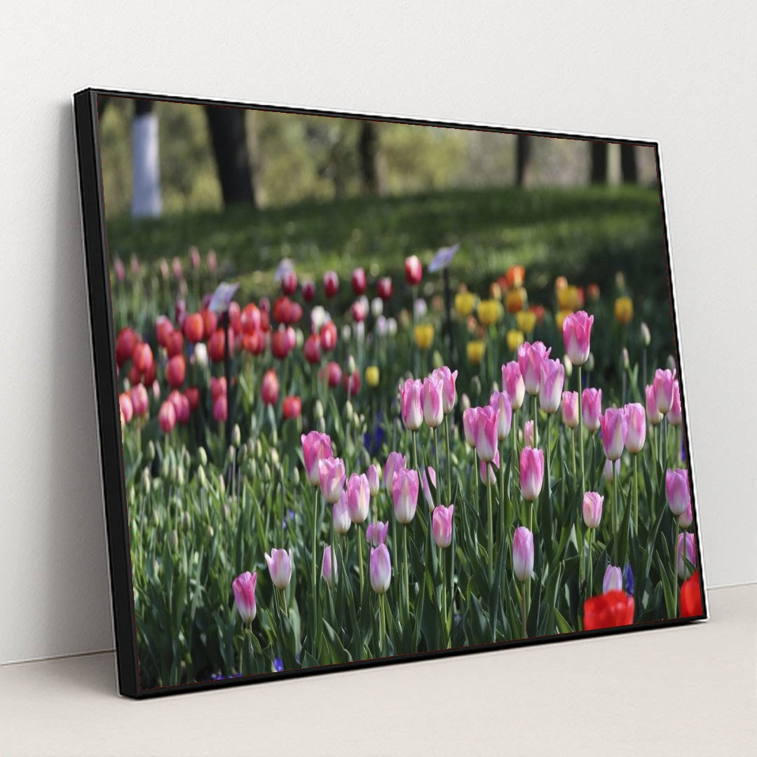 7090328895523 - Product Image