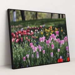 7090328895523 - Product Image