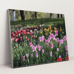 7090328895523 - Product Image