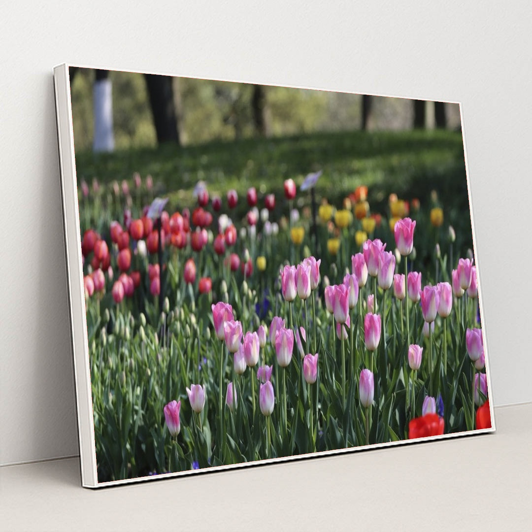 7090328895523 - Product Image