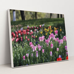 7090328895523 - Product Image