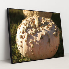 7090329681955 - Product Image