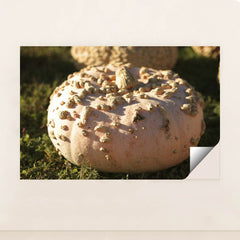 7090329681955 - Product Image