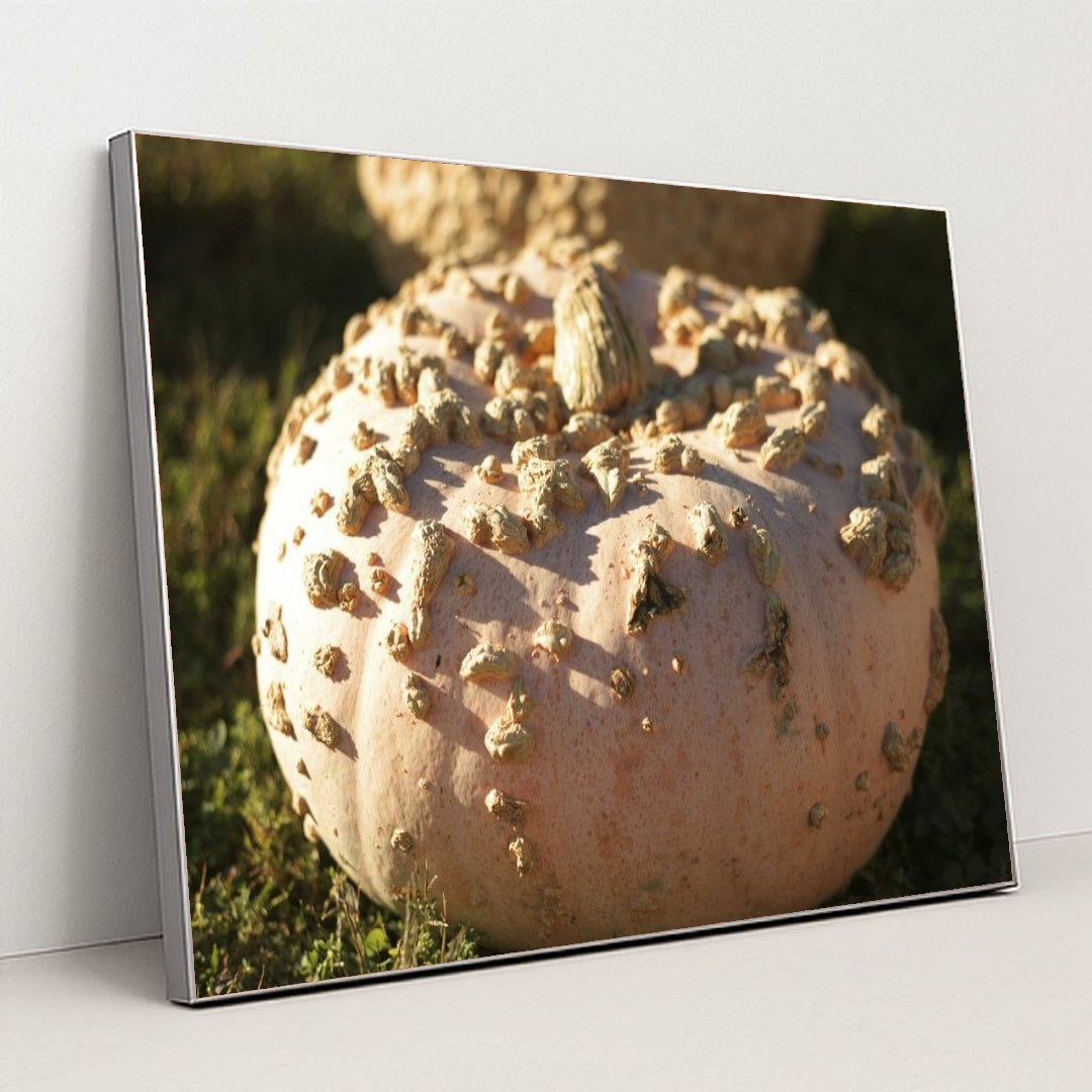 7090329681955 - Product Image