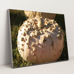 7090329681955 - Product Image