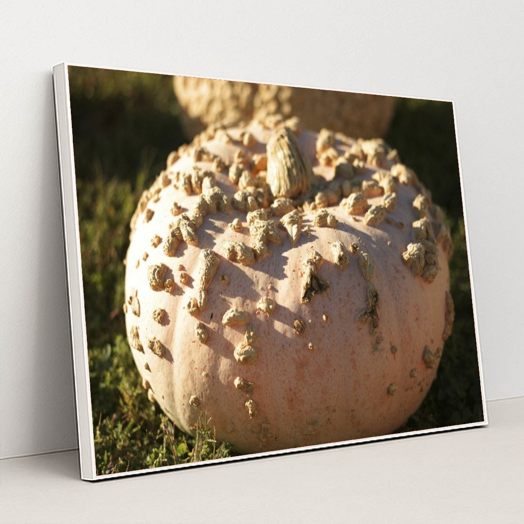 7090329681955 - Product Image