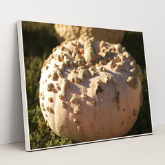 7090329681955 - Product Image