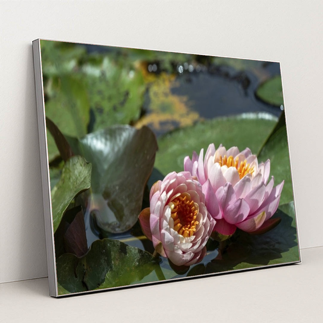 7090346623011 - Product Image