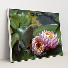 7090346623011 - Product Image