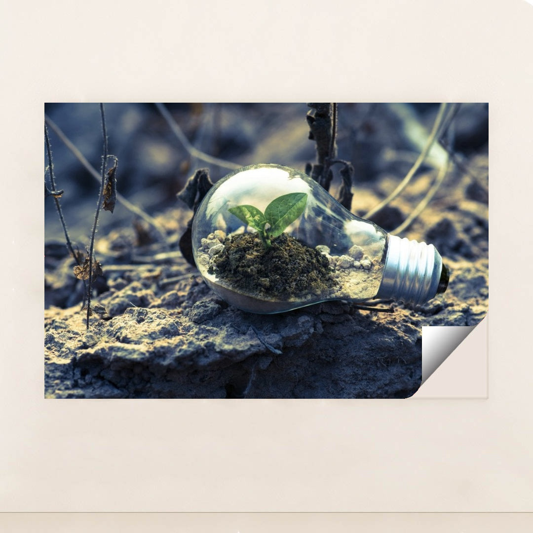 7090229575715 - Product Image