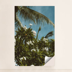 7090291376163 - Product Image