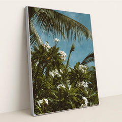 7090291376163 - Product Image