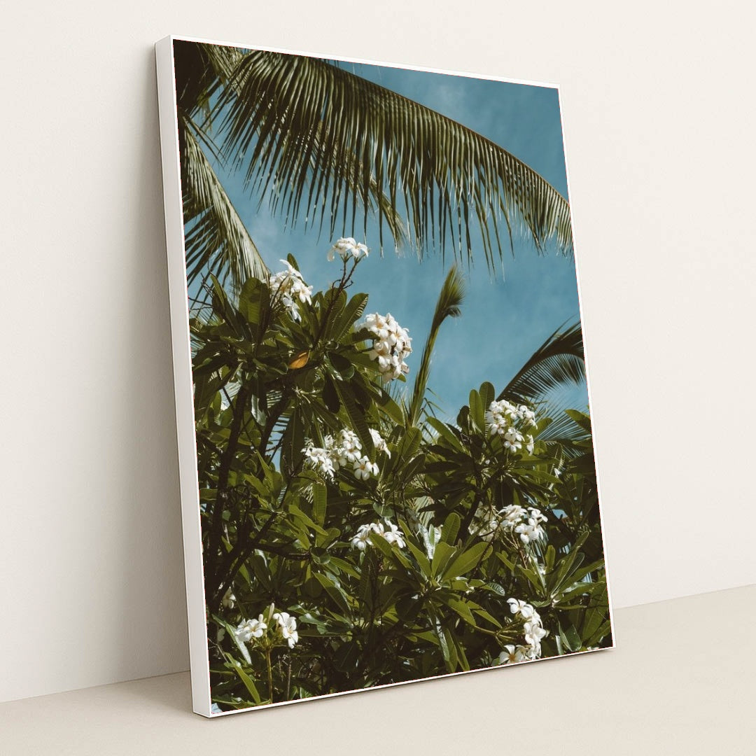 7090291376163 - Product Image