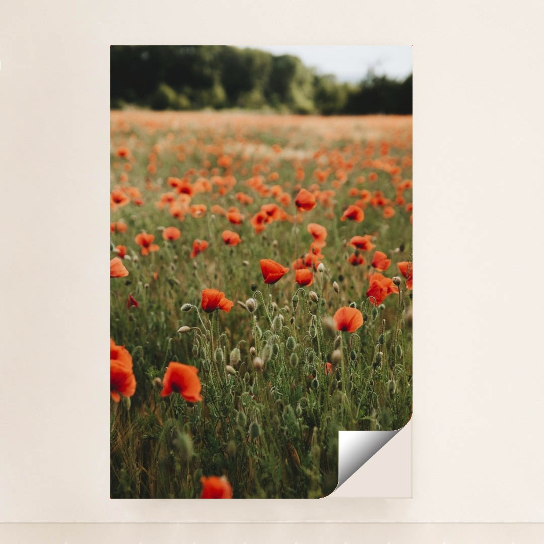 7090289180707 - Product Image