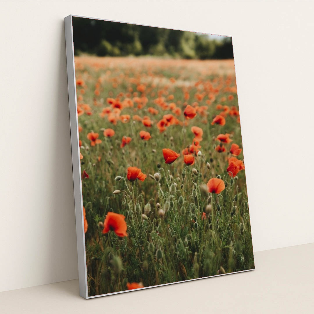 7090289180707 - Product Image