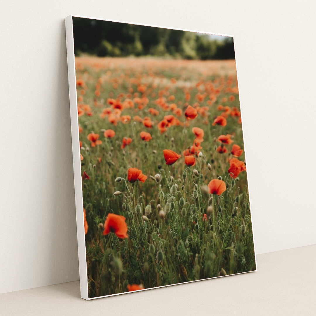 7090289180707 - Product Image