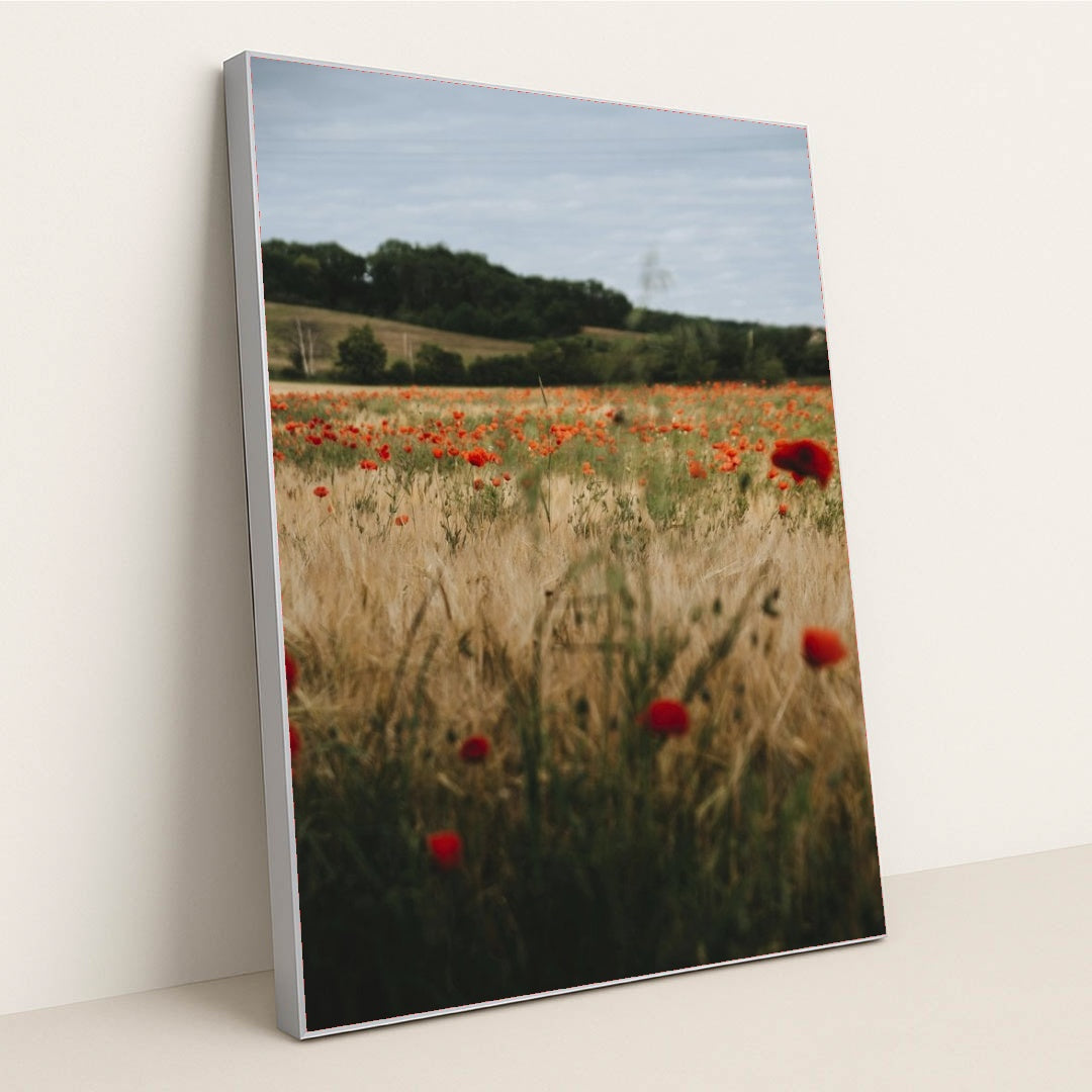 7090295603235 - Product Image