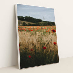 7090295603235 - Product Image