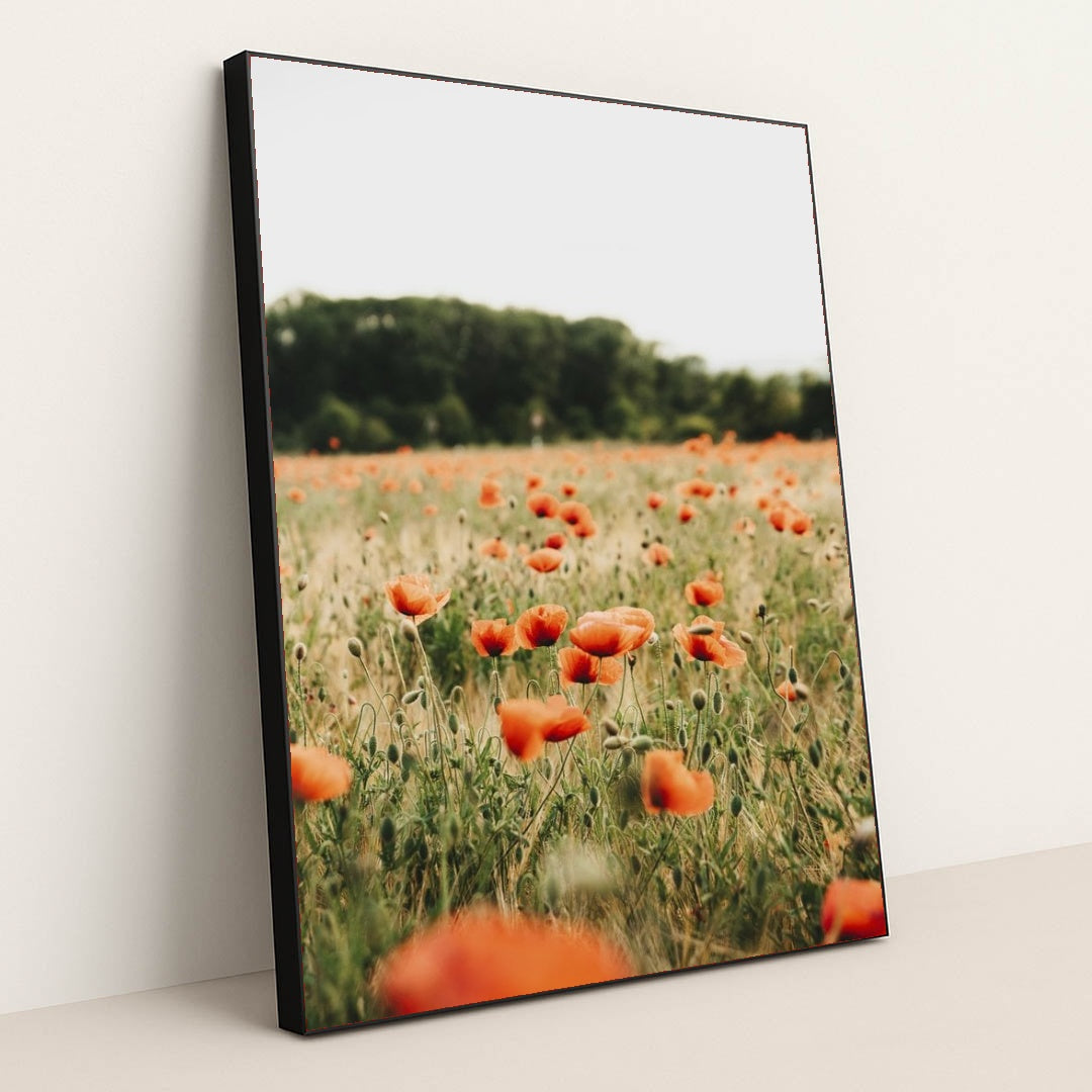 7090248319011 - Product Image