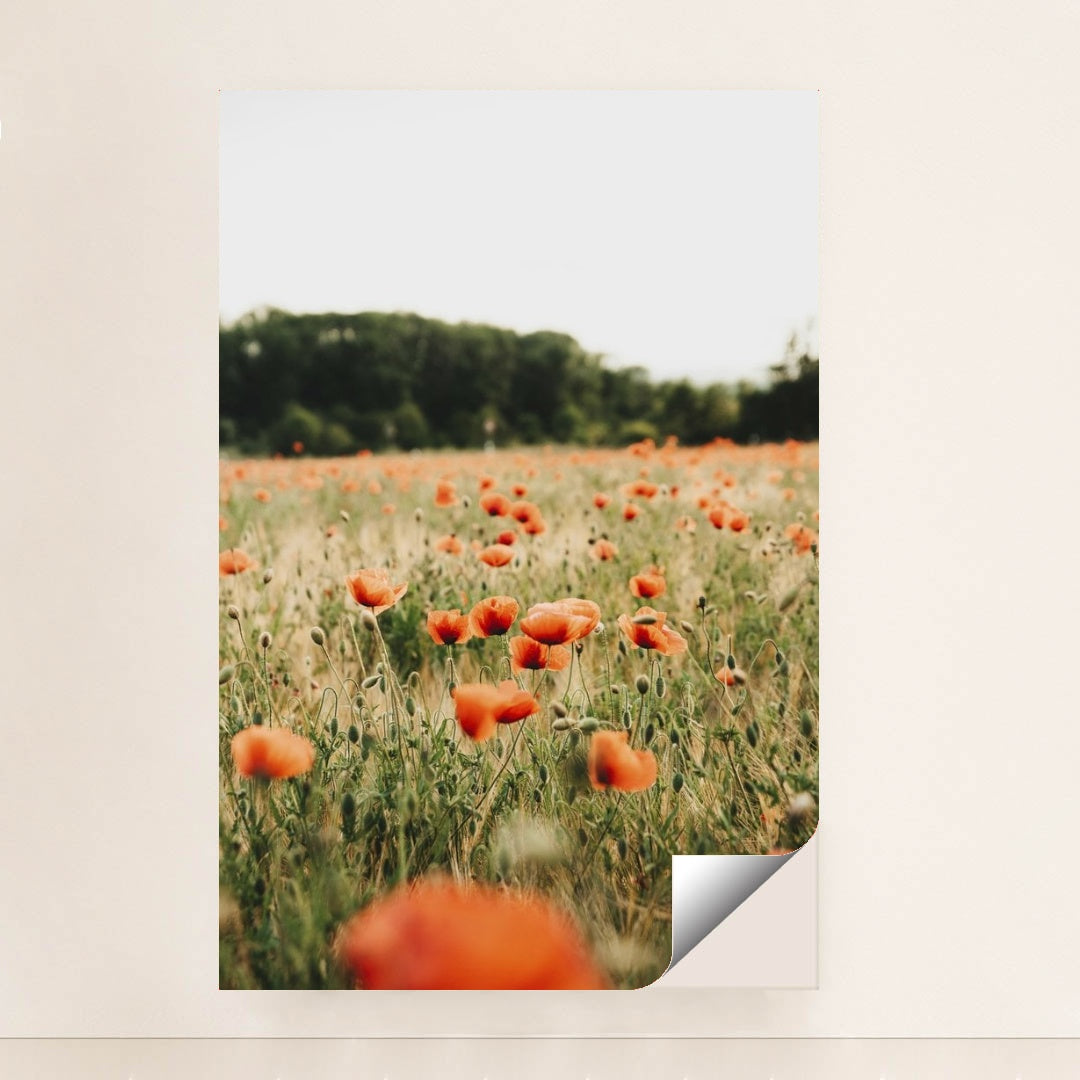 7090248319011 - Product Image