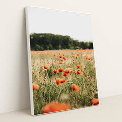 7090248319011 - Product Image