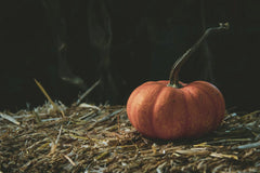 Tim Mossholder - A vibrant orange pumpkin rests on a straw bale, embodying fall's rustic charm.