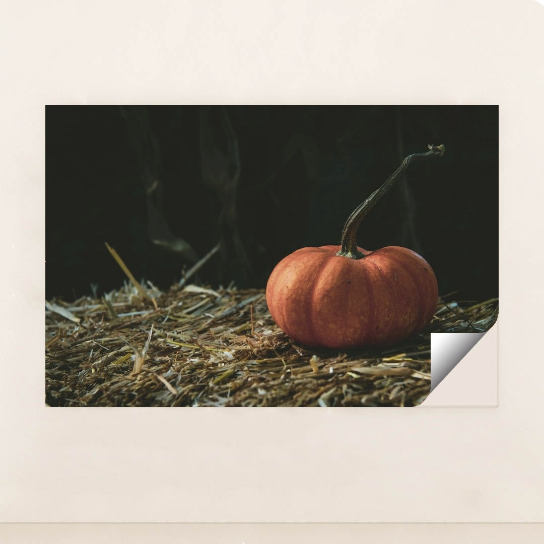 7090334728227 - Product Image