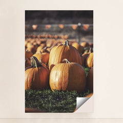 7090358288419 - Product Image