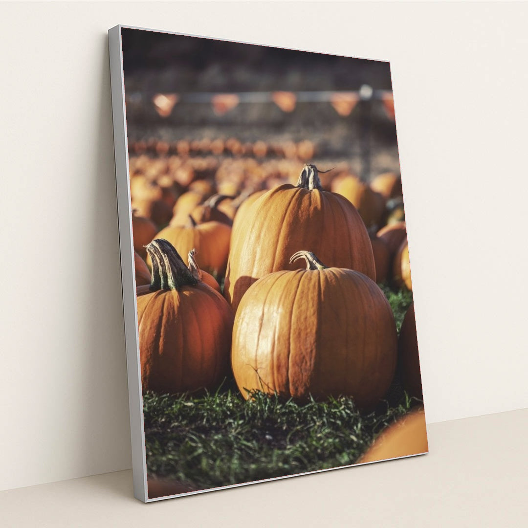 7090358288419 - Product Image