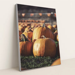 7090358288419 - Product Image