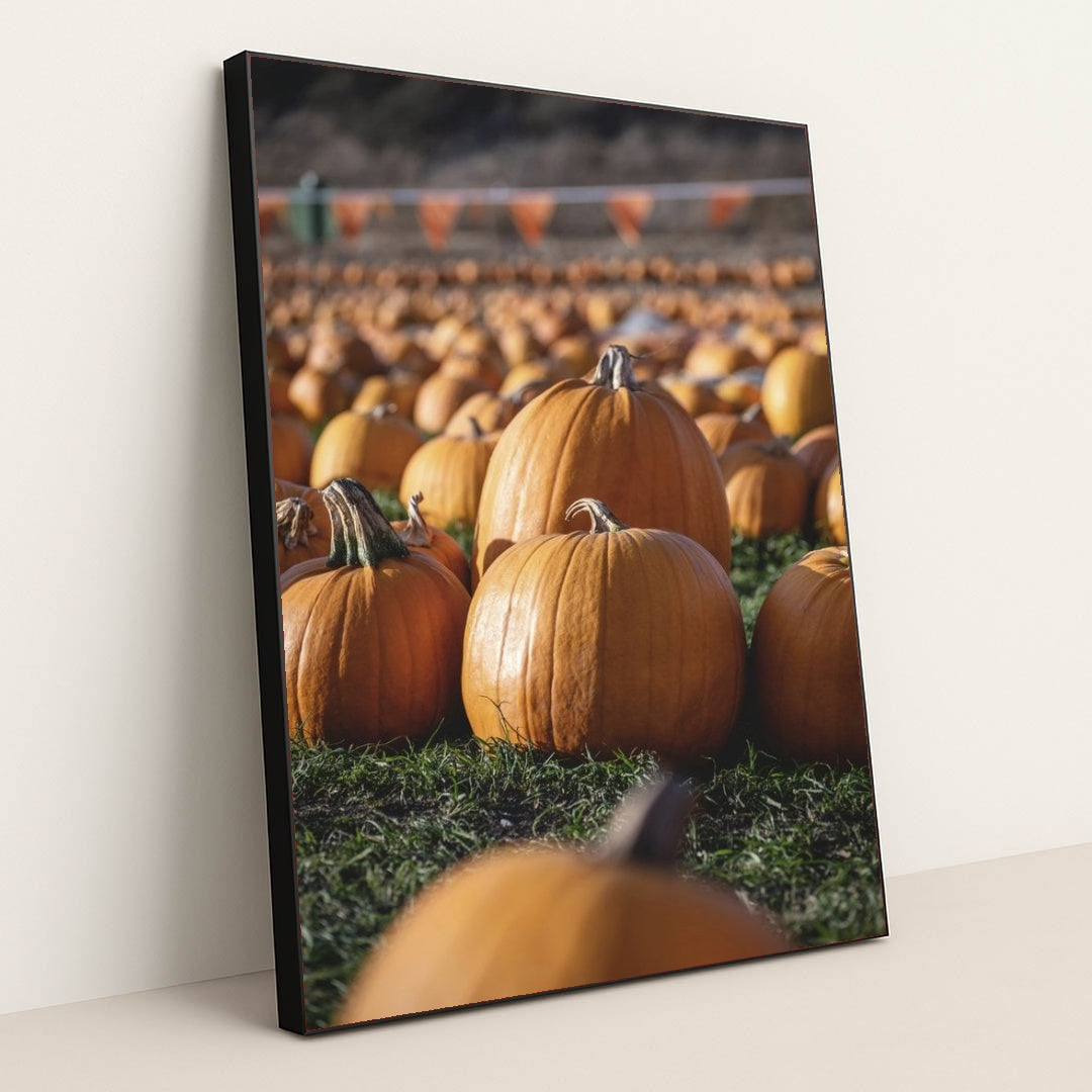 7090349441059 - Product Image