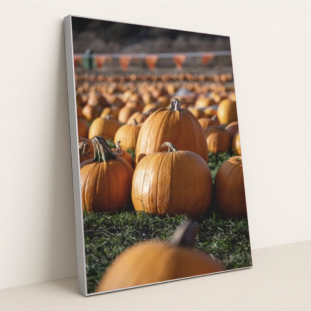 7090349441059 - Product Image