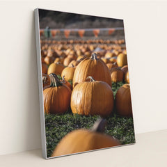 7090349441059 - Product Image