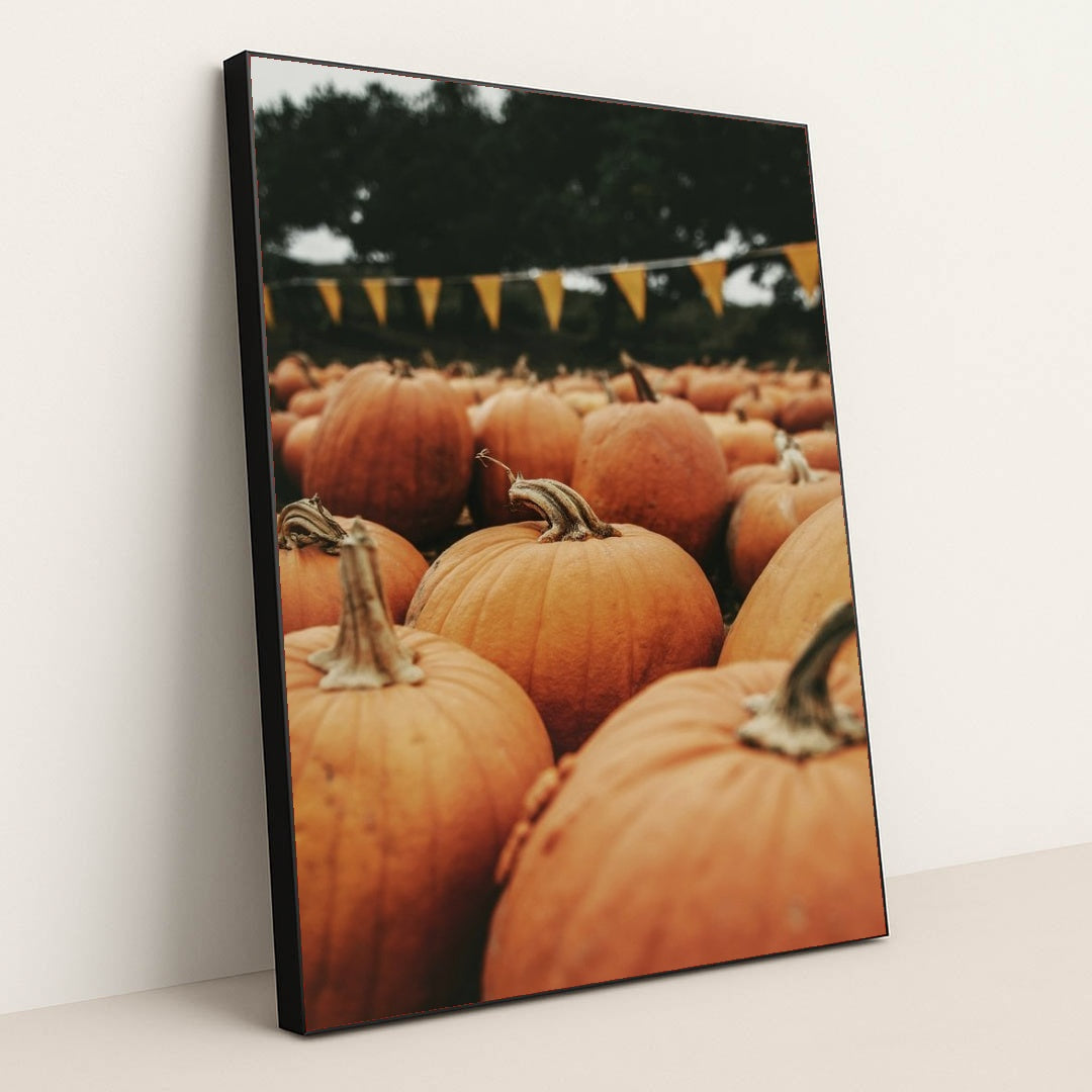 7090331746339 - Product Image