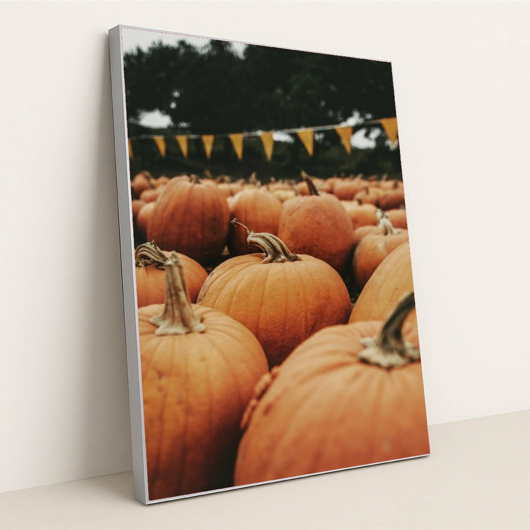 7090331746339 - Product Image