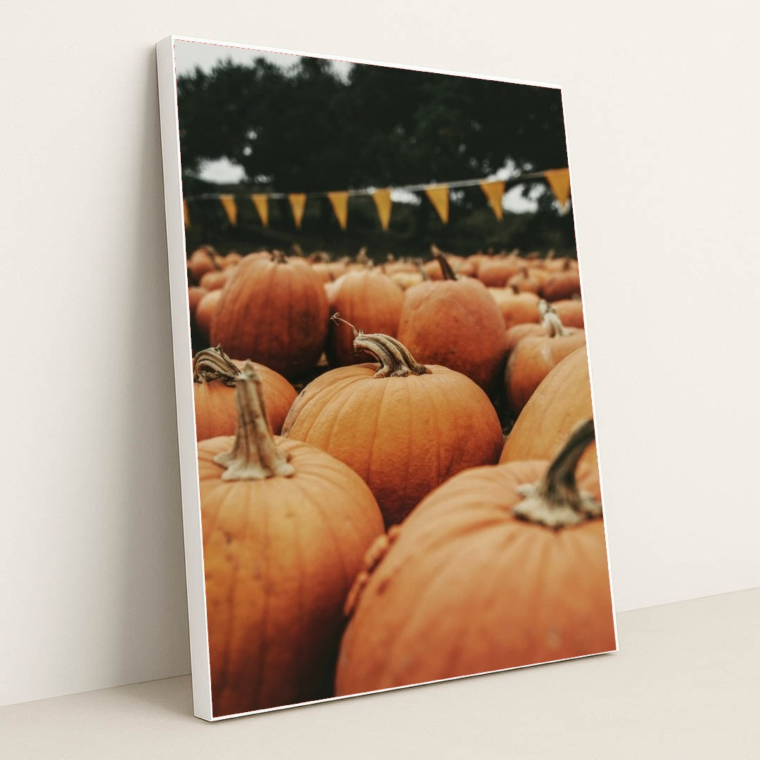 7090331746339 - Product Image